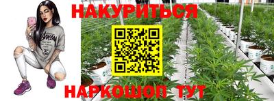 дживик Новозыбков