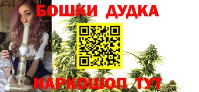 дживик Новозыбков