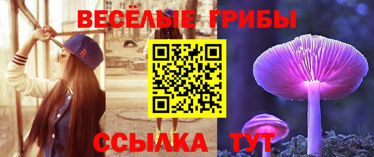 Галлюциногенные грибы MAGIC MUSHROOMS Урус-Мартан
